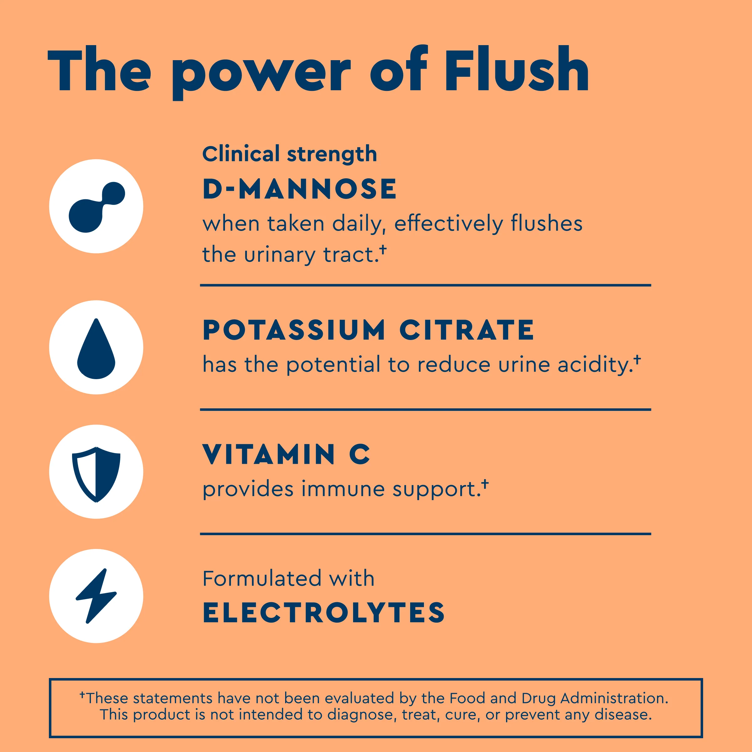 Flush & Promote - Image 5