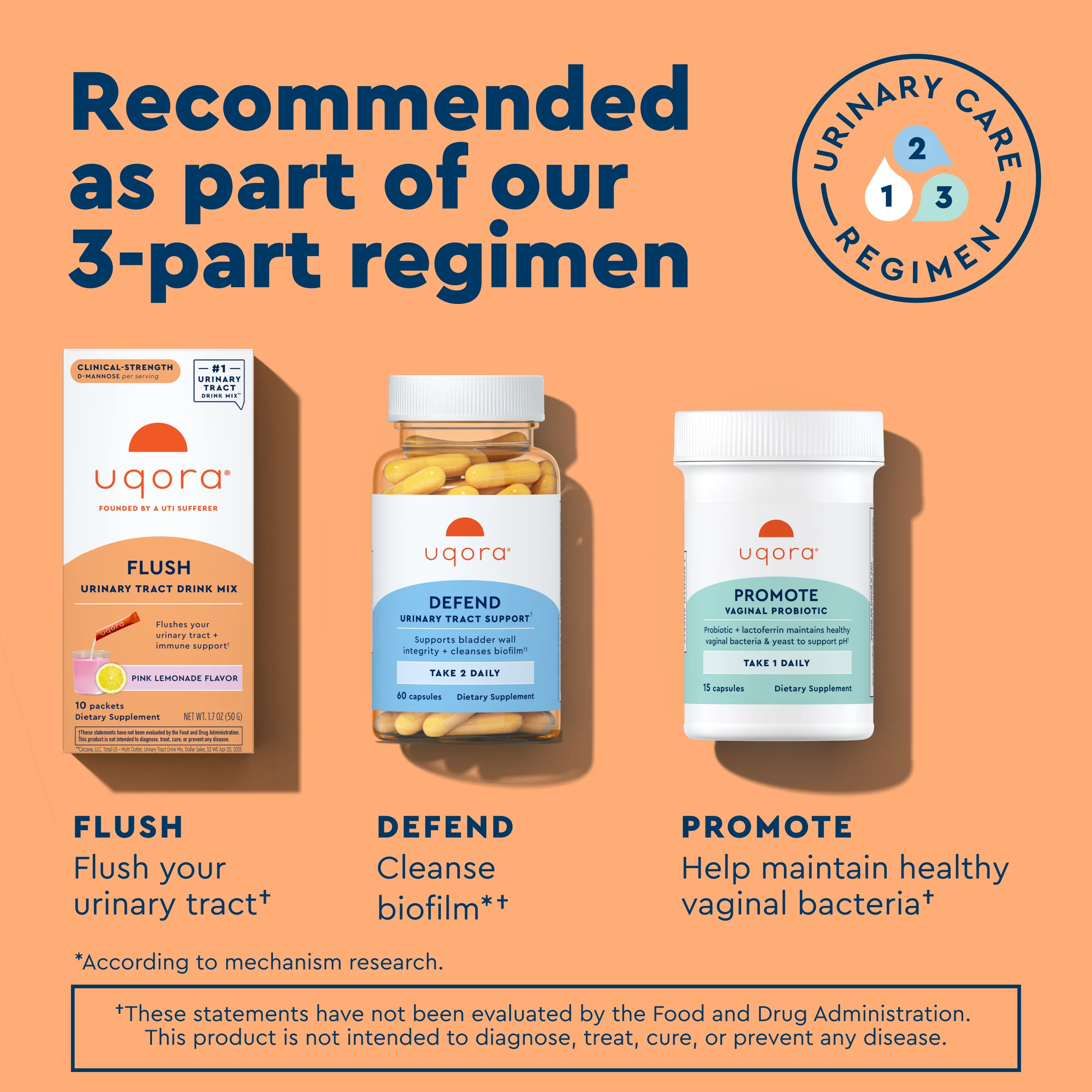 Flush & Promote - Image 7