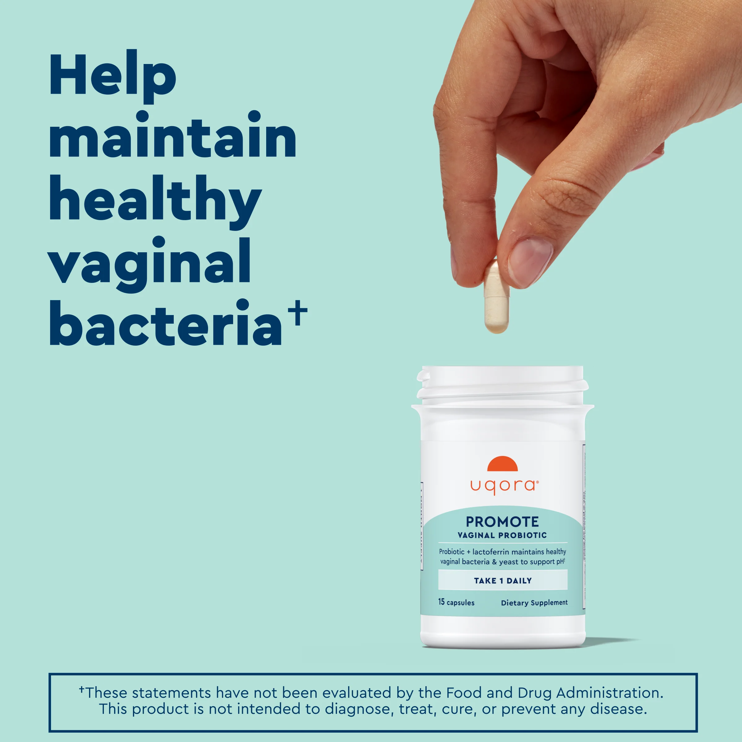 Flush & Promote - Image 9